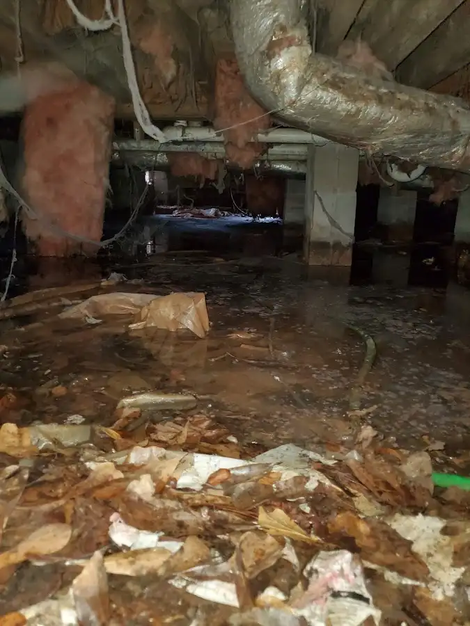 Crawl space flood assessment for Leak Detection & Repair in Chula Vista